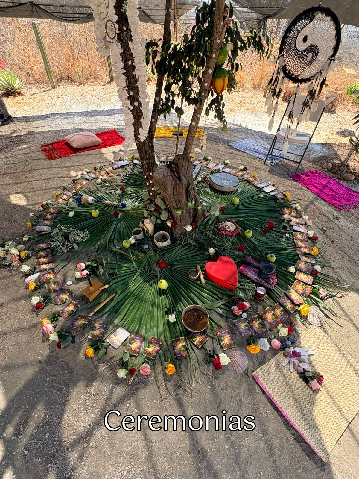 Ceremonia de Cacao