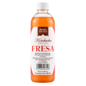 Refresco de Kombucha Fresa