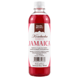 Refresco de Kombucha Jamaica