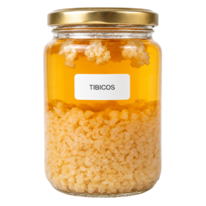 Tibicos